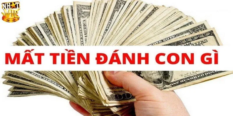 Mơ Thấy Mất Tiền - Giải Mã Điềm Báo Và Loạt Số Đẹp May Mắn Bật mí số đẹp đánh ngay khi mơ bị mất tiền