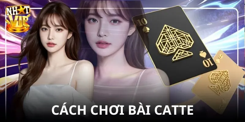 Bài Catte - Khám Phá Cách Chơi Cực Đơn Giản Cùng Nhatvip Kinh nghiệm chơi bài catte thắng thưởng khủng