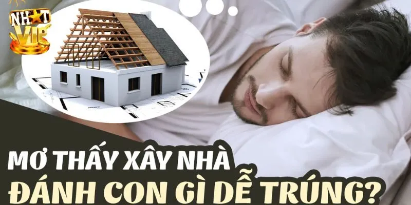 Mơ Thấy Xây Nhà - Giải Mã Giấc Mơ Và Con Số Cùng Nhatvip Khám phá con số bí ẩn khi mơ thấy xây nhà