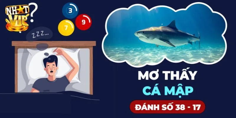 Mơ Thấy Cá Mập - Luận Giải Điềm Báo Cùng Chuyên Gia Nhatvip Gợi ý các bộ số trong trường hợp mơ thấy cá mập