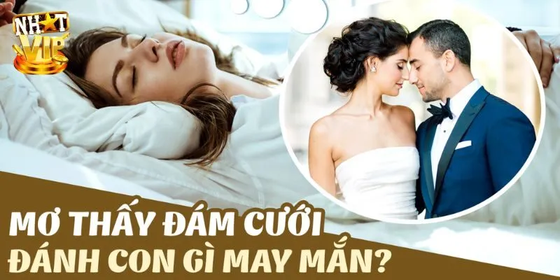 Mơ Thấy Đám Cưới - Giải Mã Điềm Báo Tương Lai Cùng Nhatvip Nằm mơ thấy đám cưới nên đánh con gì để nhận tài lộc?
