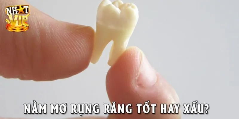 Mơ Thấy Răng Rụng Điềm Gì? Thông Tin Hữu Ích Cho Các Bạn Ý nghĩa chi tiết của mơ thấy rụng răng cho mọi người