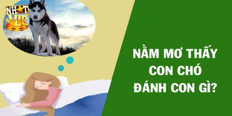 Mơ Thấy 3 Con Chó - Giải Mã Điềm Báo Cùng Con Số May Mắn Nằm mơ thấy 3 con chó nên đánh gì thử vận lô đề?