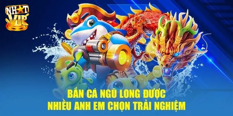 Bắn Cá Ngũ Long Nhatvip - Game 3D Đổi Thưởng Hấp Dẫn Nhất Mẹo chơi bắn cá Ngũ Long hiệu quả săn thưởng khủng