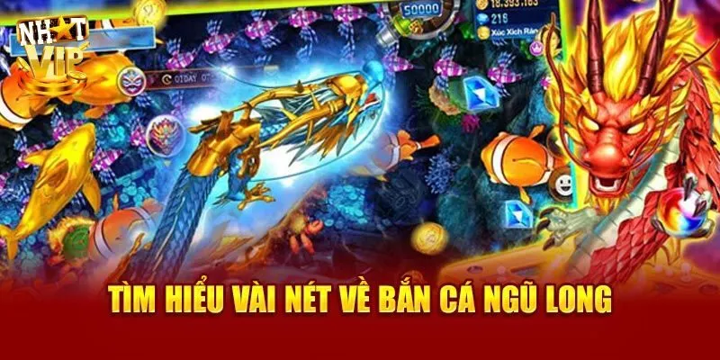 Bắn Cá Ngũ Long Nhatvip - Game 3D Đổi Thưởng Hấp Dẫn Nhất Giới thiệu game bắn cá Ngũ Long hấp dẫn nhất